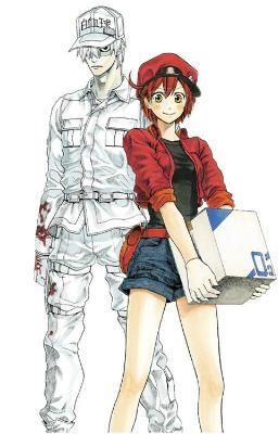 Cells at Work Complete Manga Box Set