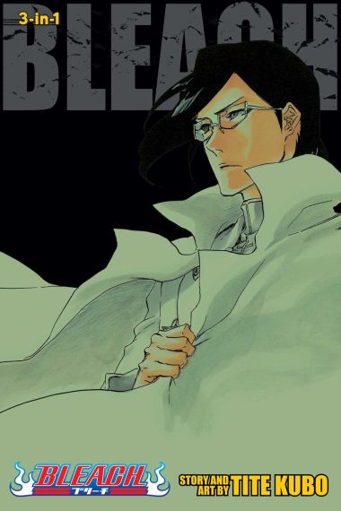 Bleach 3-IN-1 Vol. 24