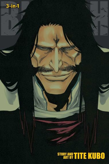 Bleach 3-IN-1 Vol. 19