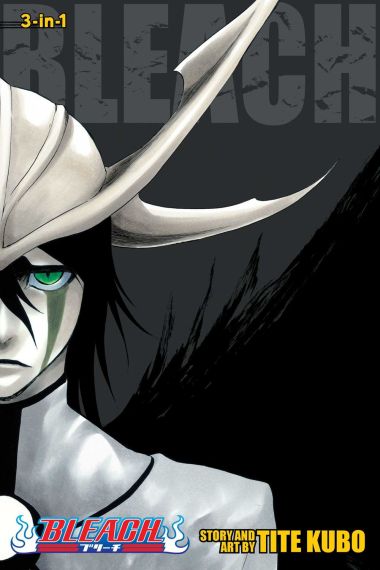 Bleach 3-IN-1 Vol. 14