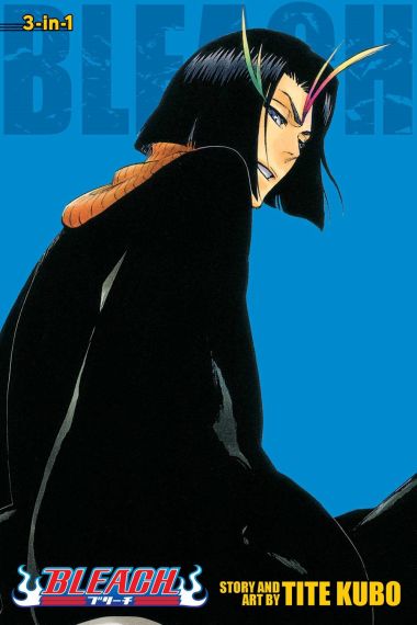 Bleach 3-IN-1 Vol. 13