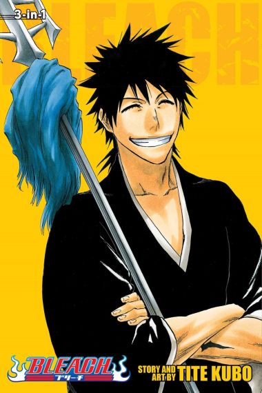 Bleach 3-IN-1 Vol. 10