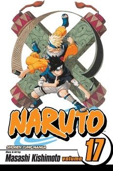 Naruto Vol. 17