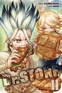 Dr. Stone, Vol. 11