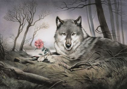 Картички Inkognito Pq Wolf und Rose 1251