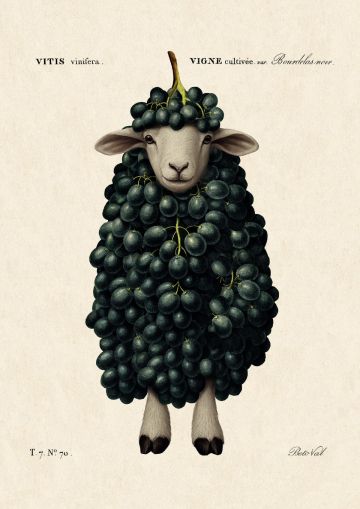 Картички Inkognito Ph Grape Sheep 20520