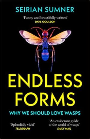 Endless Forms  Why We Should Love Wasps
