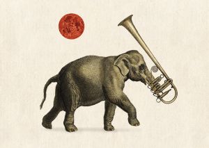 Картички Inkognito Pq 20504 Sound Fauna – Elephant
