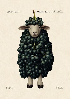 Картички Inkognito Ph Grape Sheep 20520